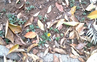 20160115b
